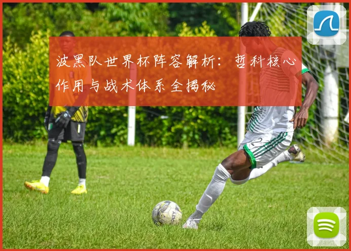波黑队世界杯阵容解析：哲科核心作用与战术体系全揭秘
