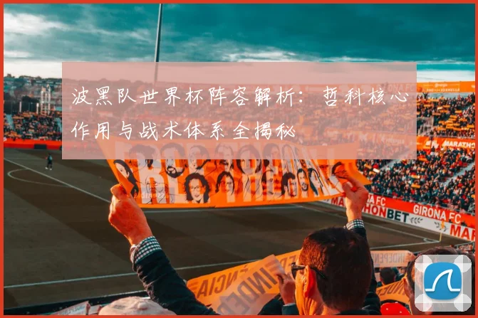 波黑队世界杯阵容解析:哲科核心作用与战术体系全揭秘
